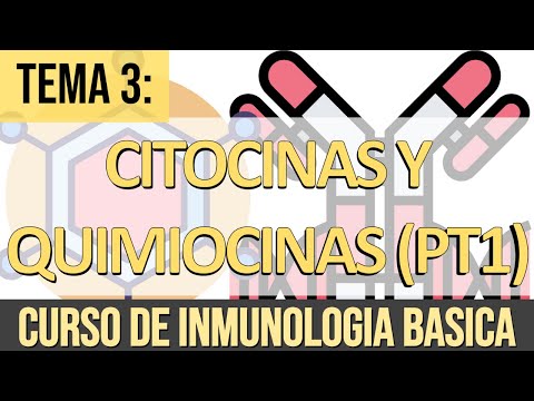 Vídeo: Diferencia Entre Citocinas Y Quimiocinas