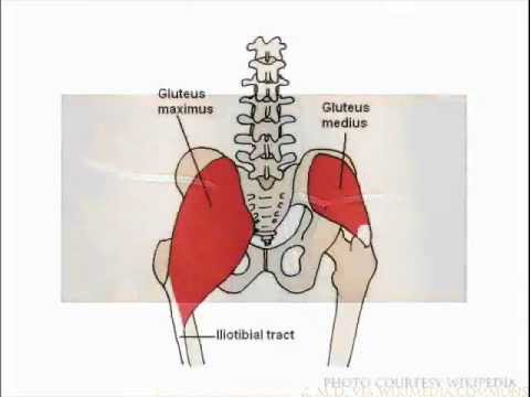 Buttock Enhancement, Gluteoplasty