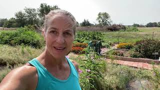 Saving Seeds in the Pocket Prairie