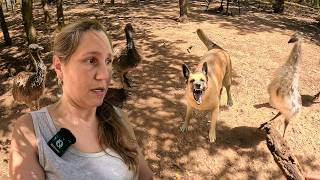 Life After The Surgery Madness On The Farm!!