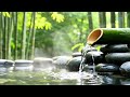 Relaxing Music for Stress, Worry, and Overthinking 🌿 Relaxing Music for Emotional Balance