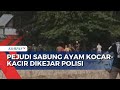 Polisi Gerebek Lokasi Judi Sabung Ayam di Pangkep, Dua Orang Ditangkap