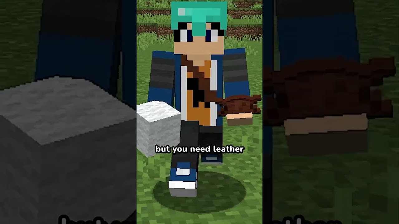 minecraft FAN EDIT