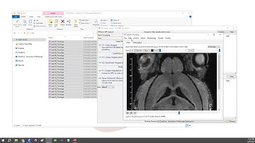 Batch Processing for NIFTI Files (without writing a script)