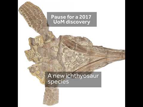 uom-discoveries-in-2017