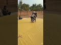 throw