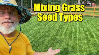 Can You Mix Grass Seed Types on Lawns
