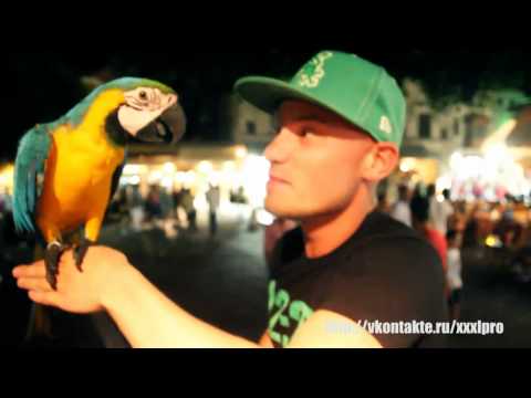 3xl Pro - Жаркое лето