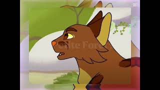 Edit Papillon Lgdc ꨄ