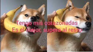 🍌 Raffi - Banana Phone 🍌 | traducción al español