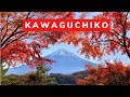 5 things to do in lake kawaguchi 4k