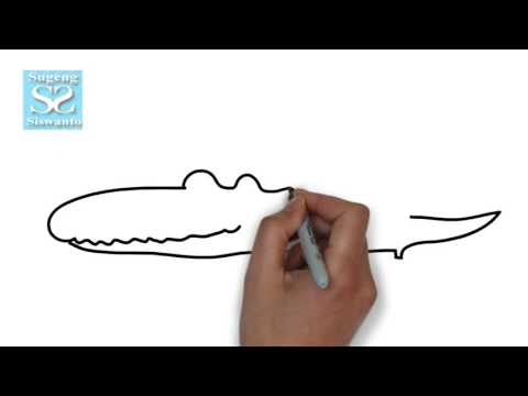 87 Koleksi Gambar Sketsa Hewan Buaya Terbaru