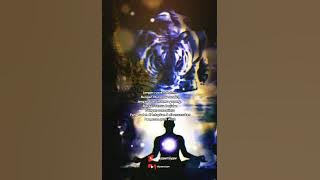 story wa macan putih #shorts #khodampendamping #khodamleluhur #wejangan #weton #kejawen