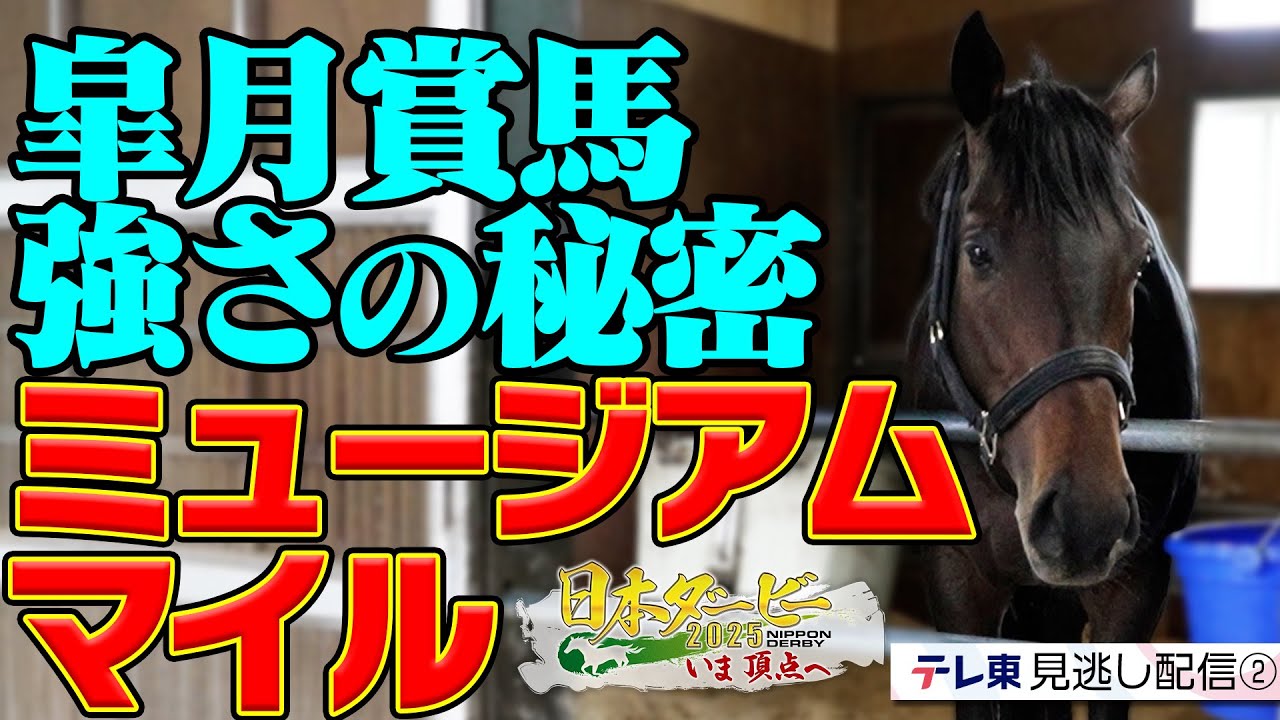【公式】ミュージアムマイル皐月賞勝利の舞台裏 日本一を知るスタッフたちと馬の物語｜日本ダービー2025 いま頂点へ