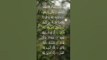 #سعد_الغامدي #سورة_الضحى