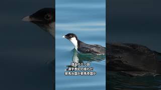 邪馬台国、1800年誰も場所を特定できない3つの理由