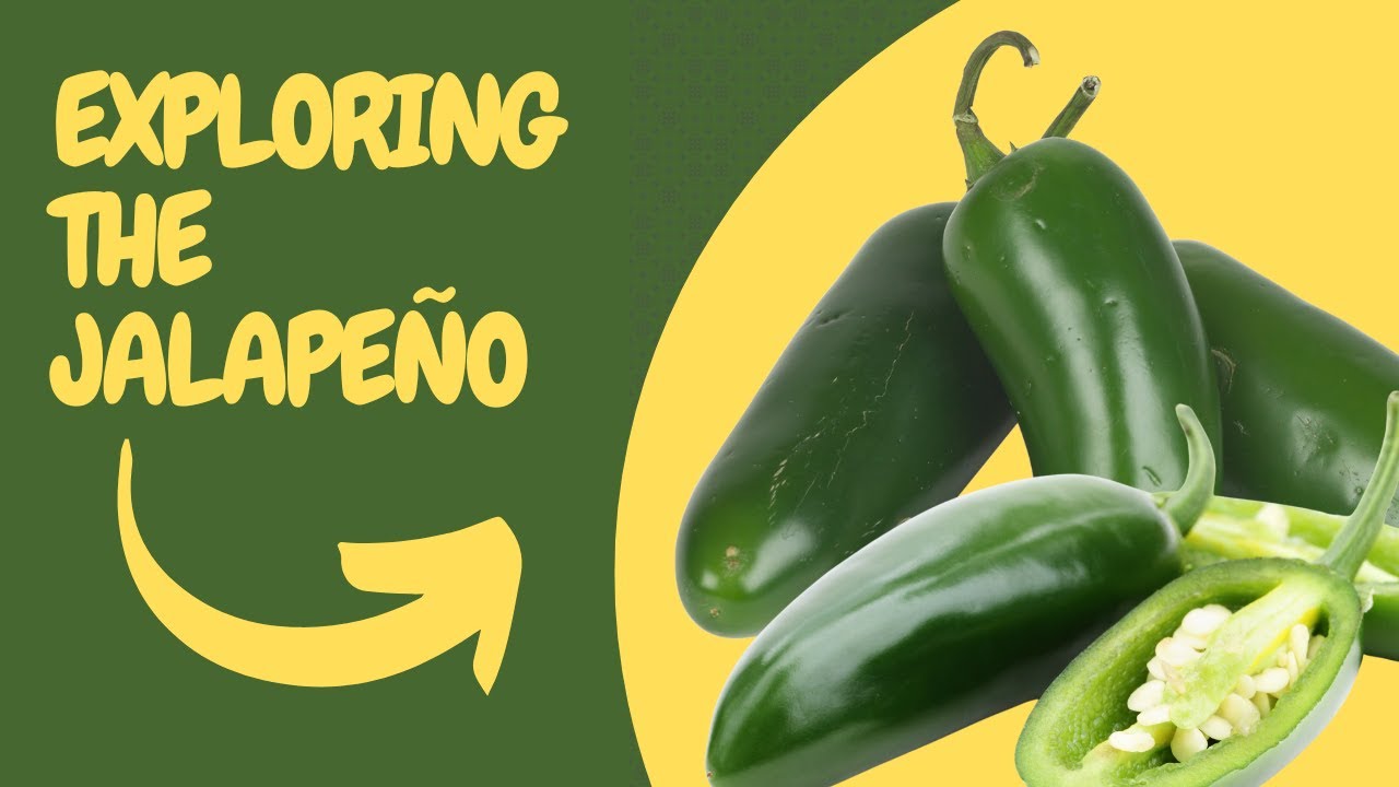 "Discover the Secret of Jalapeño: More Than Just a Spicy Pepper" - YouTube