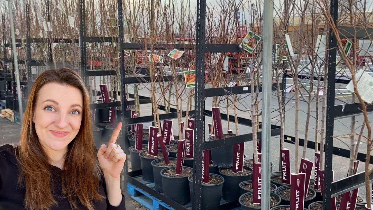 My FAVORITE Place to Buy Fruit Trees! YouTube