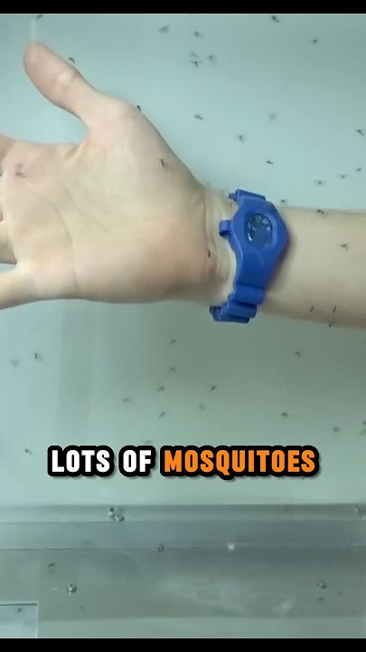 Dia mencoba gelang anti nyamuk