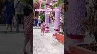 naina devi Mandir ..#nainital #explore #cutebaby #youtubeshorts #viralvideo #travel