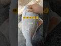#fishcutting #fishcuttingskills #trendingshorts #easyfoodtomakeathome