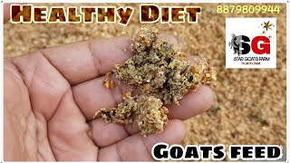 Goats Healthy and heavy Diet at STAR GOATS FARM