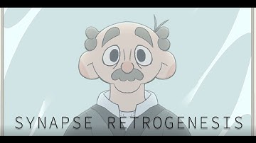 Synapse Retrogenesis {Fourth-Year Thesis Film}