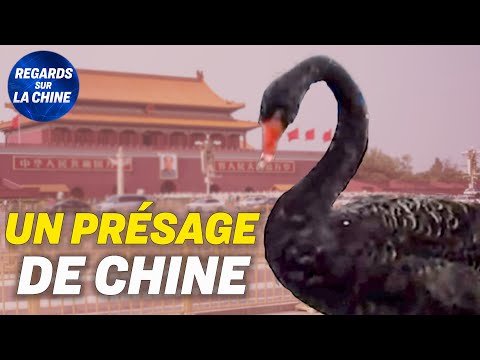 Vidéo: Visiter la place Tiananmen à Pékin