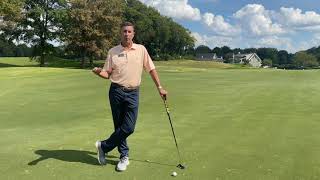 How to Properly Repair a Ball Mark