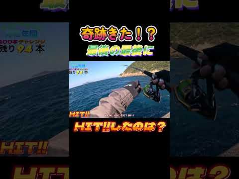 【珍現象】釣行終了間際に。。#shorts #釣り #ショアジギング