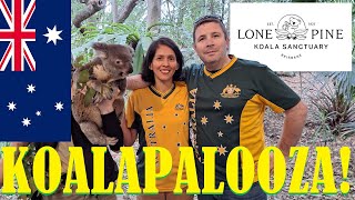 G'Day Australia! 2023 (Pt. 46) - Koalapalooza! at Lone Pine Koala Sanctuary, Brisbane