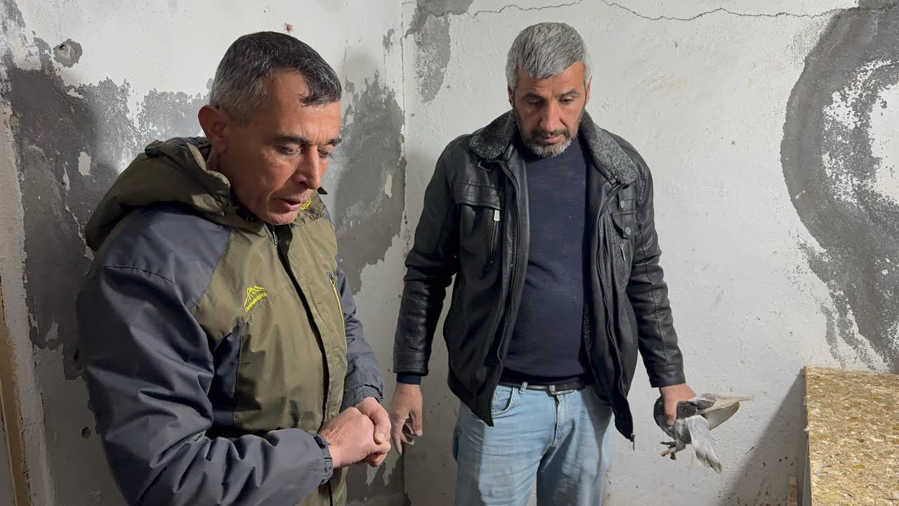 🏆MARDİNDEN ALİ DAĞ BEYİN SON KUŞLARI 🏆 Cumartesi bu akşam 21:00 da ‼️