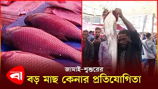 কটিয়াদীর ৪০০ বছরের ঐতিহ্য কুড়িখাই মেলা | Kurikhai Mela | Protidiner Bangladesh
