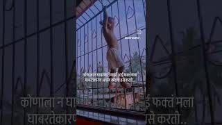 या दोघां ना दिवसभर baghycha म्हणजे माझ्या साठी खूप मोठा takss असतो ❤️