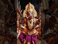 Varaha Dance Ritual Episode-690 #varaha #varaharoopam #shorts #viral