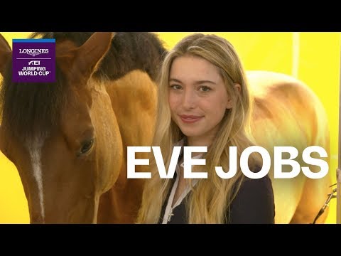 Jobs In The Horse World