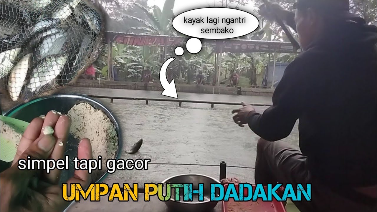 LUAR BINASA YANG LAIN CUMA NONTON || SERASA MANCING DI EMBER‼️RACIKAN UMPAN DADAKAN ANTI PETIR
