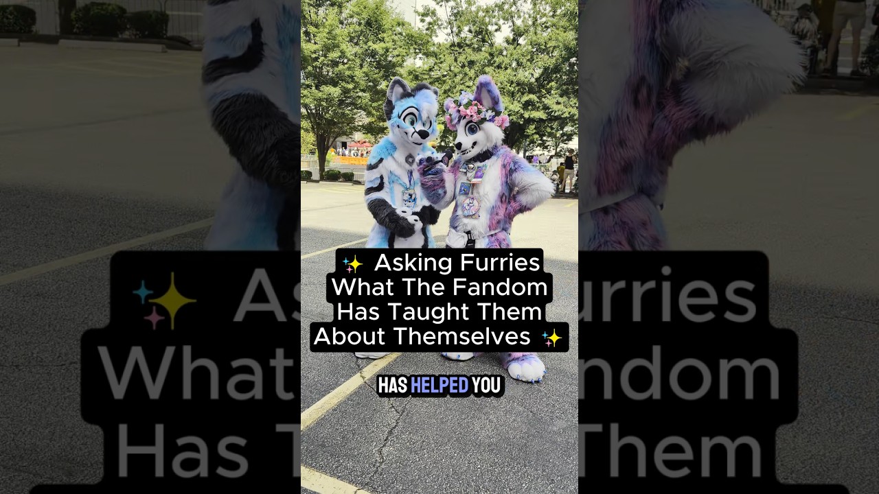 ✨🤔How About You - What Has The 