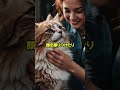猫が「可愛い」本当の理由3選#shorts