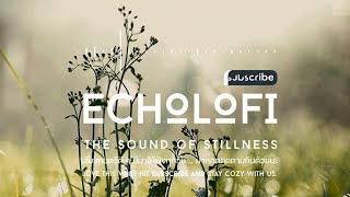 🔴LIVE 🎧 Music knows no borders. 🌍📻 Wherever you are, let’s share this vibe 🎶 screenshot 5