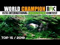 IIAC Contest 2019 | Top 15 World Rank