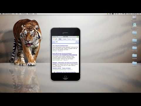 iPhone Programming -