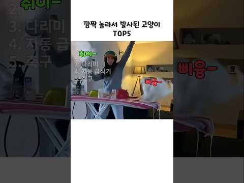 깜짝 놀라서 발사된 고양이 TOP5 thumbnail