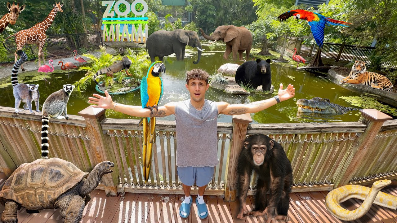 Face to Face With The MOST EXOTIC ANIMALS In The WORLD!! 