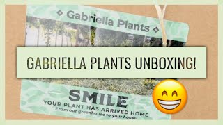 Gabriella Plants Unboxing and review Plant Haul - I Love Plant Mail