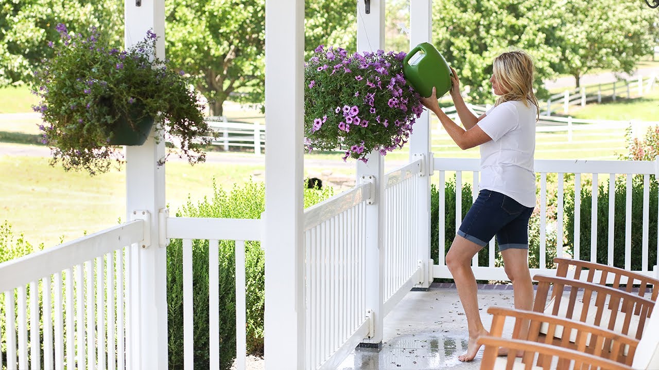 How to take care of hanging flower baskets YouTube