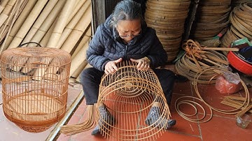 You Won’t Believe How Complex a Birdcage Can Be!