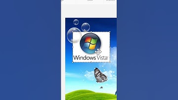 How should we use the background removal tool next? #Windows11 #FrutigerAero #Nostalgia