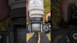 Golf through the lens of a 1970s 35mm film camera ⛳️🎞️ Golf through the lens of a 1970s 35mm film camera ⛳️🎞️