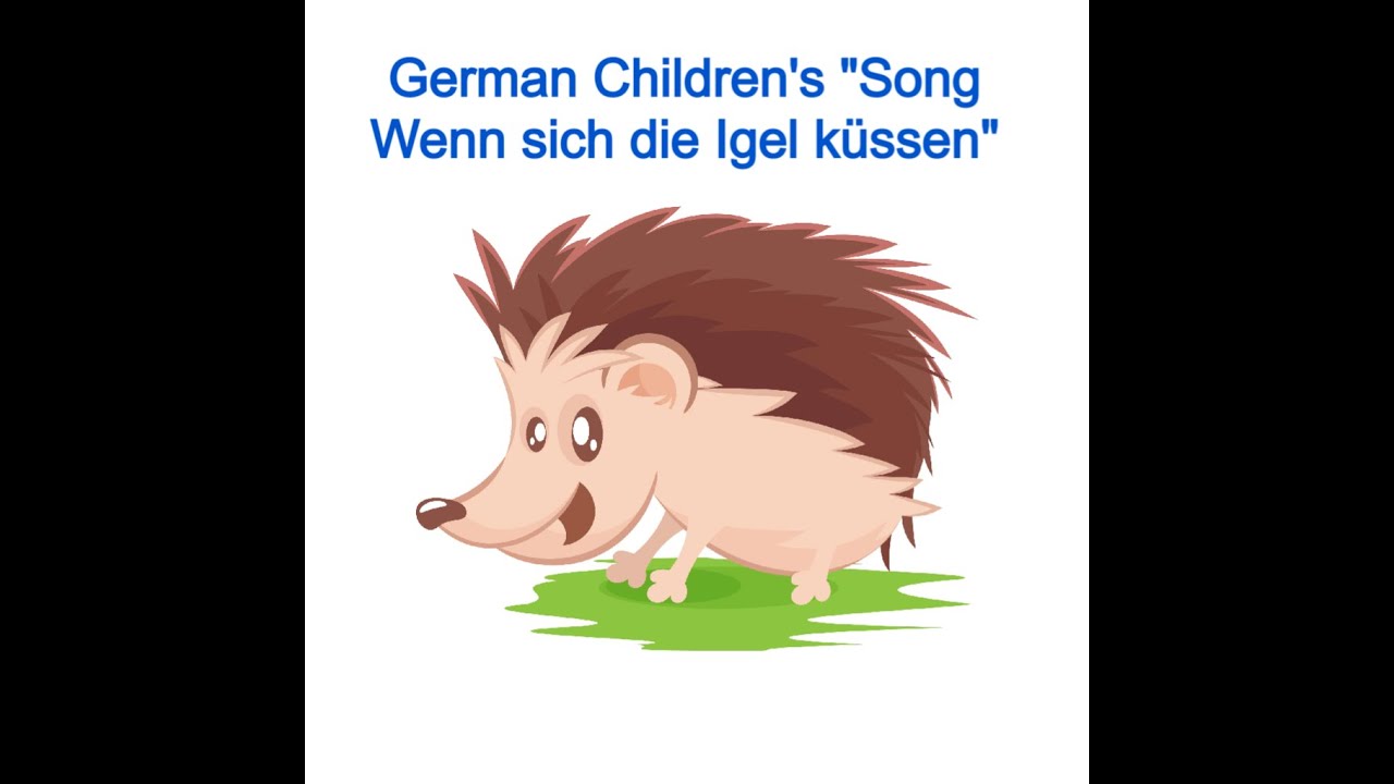 wenn sich die igel küssen